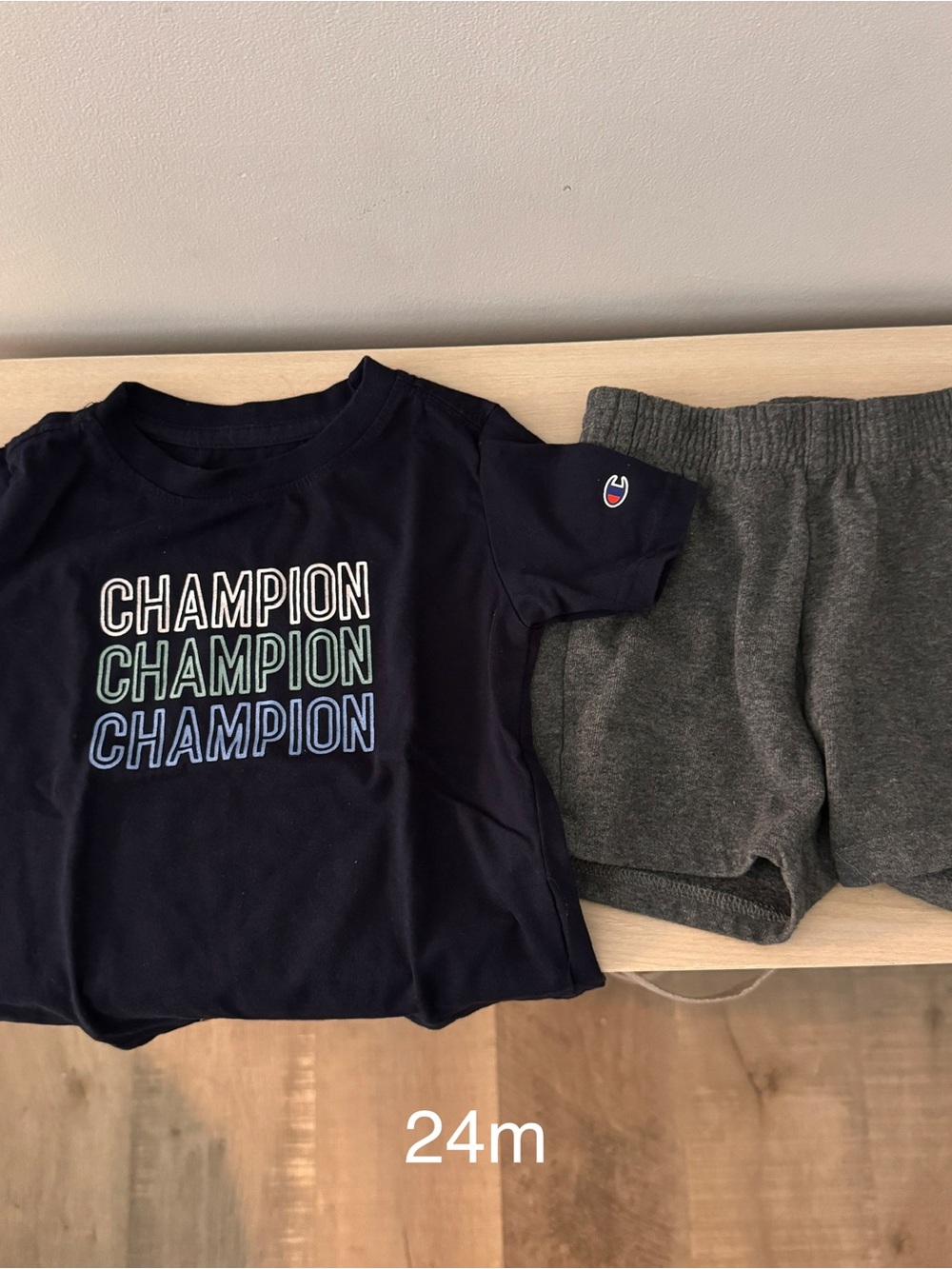2t Champion Navy Logo Tee & Gray Shorts Set